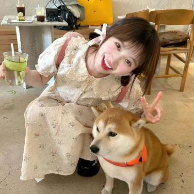 错点鸳鸯