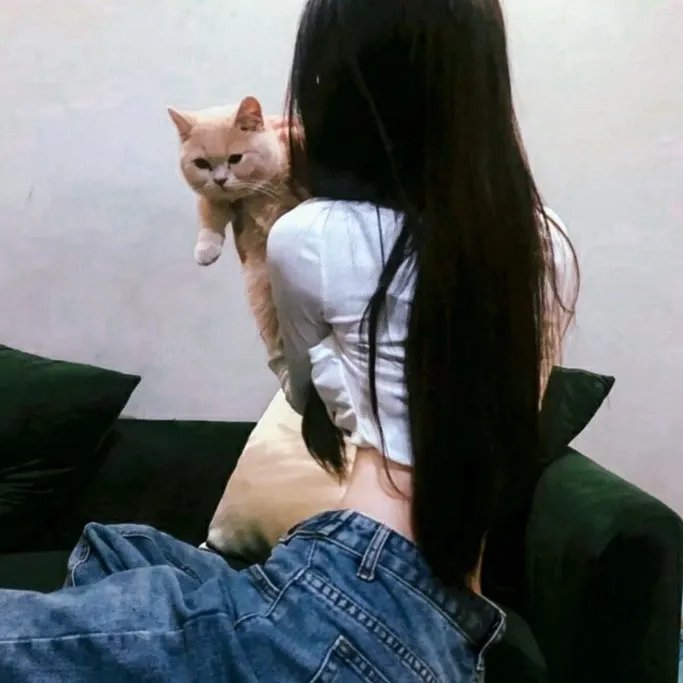 女佣变凤凰