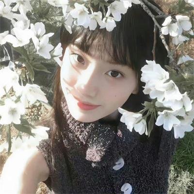 灵书妙探第七季